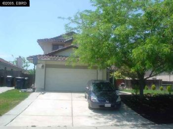 champbolo profile photo