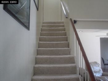 champbolo profile photo