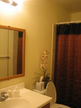 illusion408 profile photo