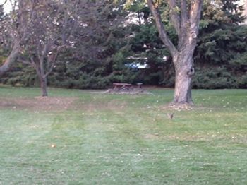 AlyTaz profile photo