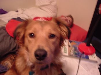 nickcrys7 profile photo