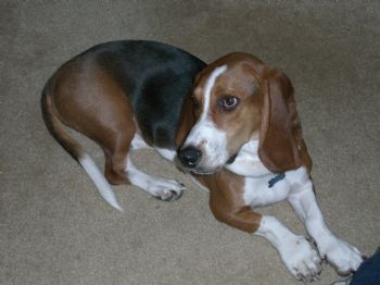 lmconine168 profile photo