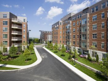 clogiudice profile photo