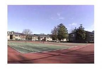 lawhite524 profile photo