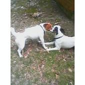 raymond48 profile photo