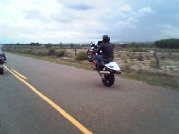 dane4xgo profile photo