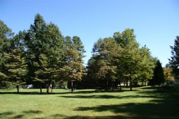 Jacquijaq profile photo