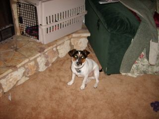 ohdudaday profile photo