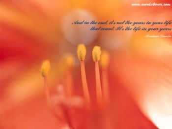 dinu84 profile photo