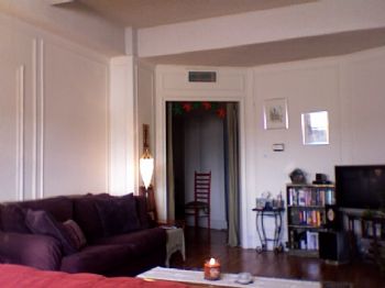 haylamaley profile photo