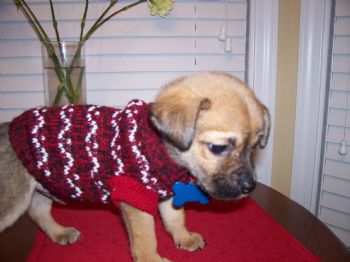 cgross86 profile photo