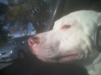 tylerschmitt profile photo