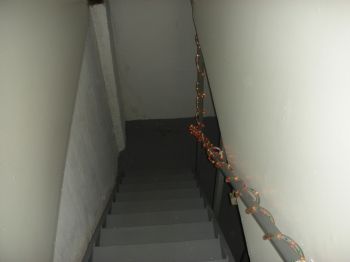 willywamdad profile photo