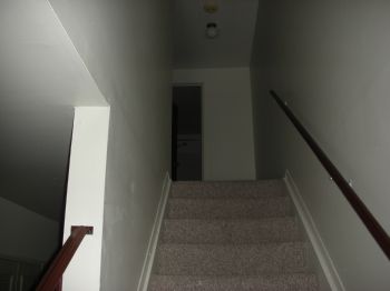 willywamdad profile photo