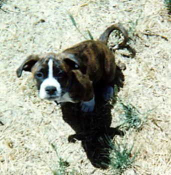 AVCstudent profile photo