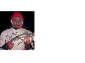 pashbe1 profile photo