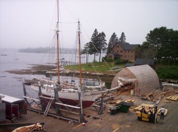 pashbe1 profile photo