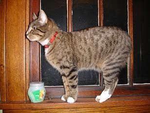 jimseng profile photo