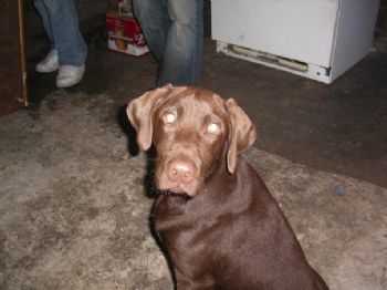 Sublimed profile photo