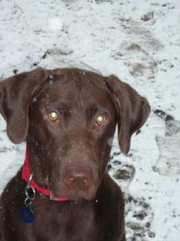 Sublimed profile photo