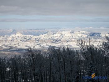 amdeprey profile photo