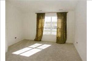 racer8jr profile photo