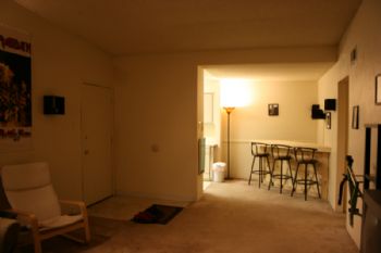 sunfall profile photo