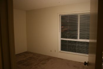 sunfall profile photo