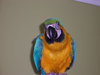 mickeymay profile photo