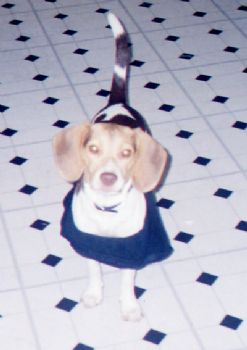 swimgal983 profile photo