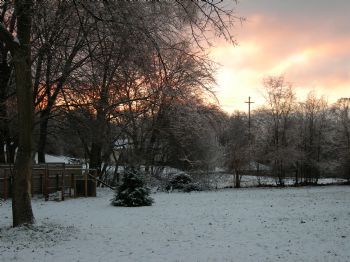 nwilkins1610 profile photo