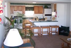 sc218503 profile photo