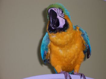 mickeymay2 profile photo