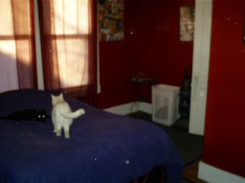 plan9misft profile photo