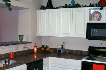 seansapimp87 profile photo