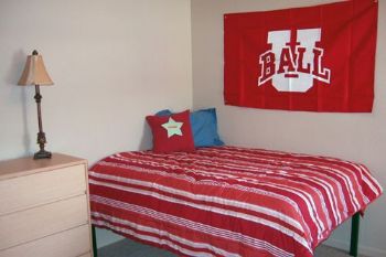 seansapimp87 profile photo