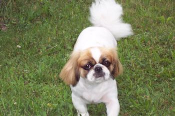 lovinsun79 profile photo