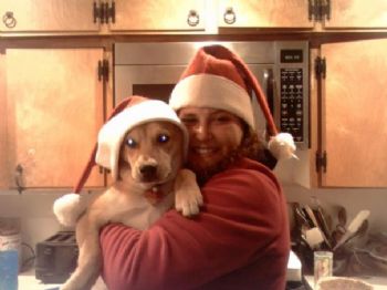 Mealsvt profile photo