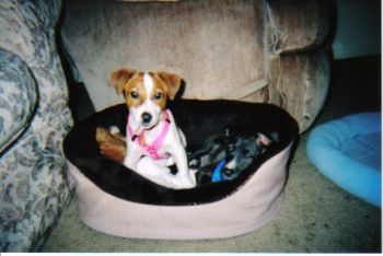 ctjrunfar profile photo