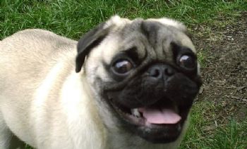 brianne232 profile photo