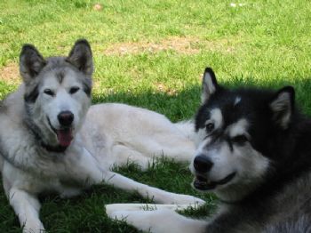 SarahUCM profile photo