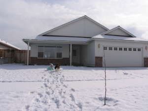 alex77 profile photo