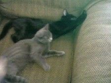 lolajessup profile photo