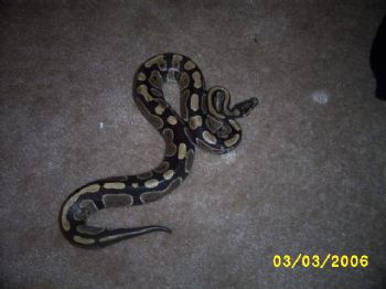 soccerbabe73 profile photo