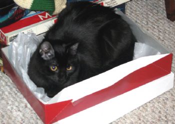 Heiserman02 profile photo