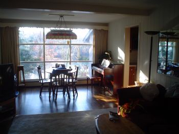 lakefront profile photo