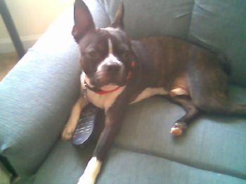 kcj2178 profile photo