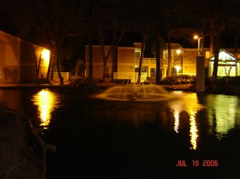 24swifey profile photo