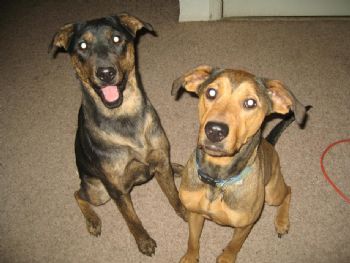 sly3469 profile photo