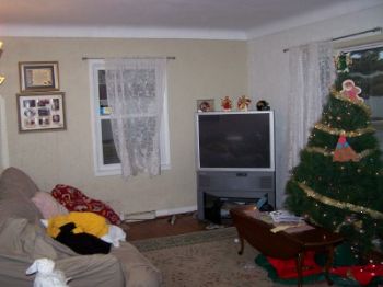 washredsk profile photo